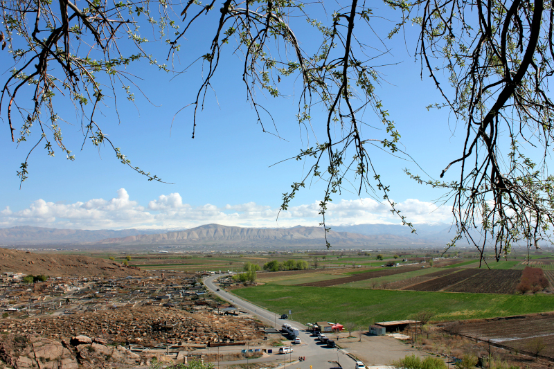 Armenian mountains through trees